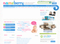 babynamebible.com