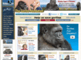 gorilla.org