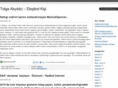 kirmizireyon.com