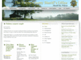 waynetnso.com