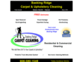 baskingridgecarpetcleaning.com