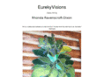 eurekyvisions.com