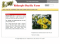 ridaught.com