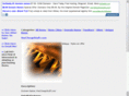thecheapstuff.com