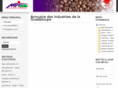 annuaire-mpi971.com