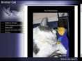brothercat.com