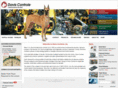 daviscontrols.com