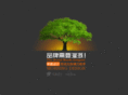 md9119.com
