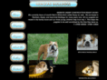 nebckasbulldogs.com