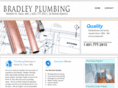 theplumbingrepair.com