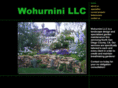 wohurnini.com