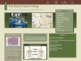 bostonspinegroup.com
