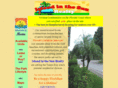 islandinsun.com