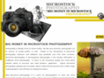 moneyinmicrostock.com