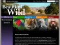 morebeautifulwild.com