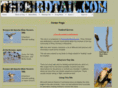 thebirdtail.com