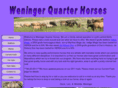 weningerquarterhorses.com