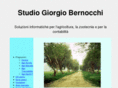 giorgiobernocchi.com