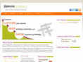 z3strategy.com