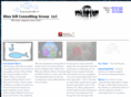 bluegillconsultinggroup.com