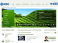 ieee-iceo.com