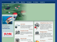 remax-direct-ramona-ca.com