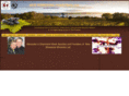 apostlenwsm.net