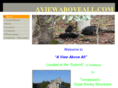 aviewaboveall.com