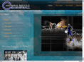 chapmanbasketball.com