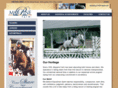 maypinefarm.com