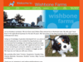 wishbonefarms.com