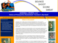 aeroballsports.com