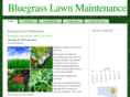 bluegrasslawnmaintenance.com