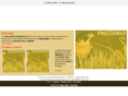 falcosaldsnc.com