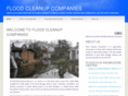 floodcleanupcompanies.com