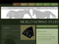 merlodownsstud.com