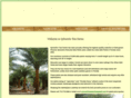 sylvestristreefarms.com