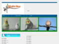 birdist-bee.com