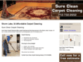 carpetcleaningstormlake.com