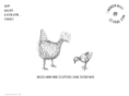 chickenwiregeorge.com