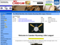 cwll.net