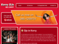 djsinkerry.com