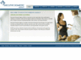 executivedomesticagency.com