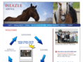 heazle.co.uk