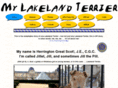 mylakelandterrier.com