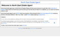 northeastestateagent.com