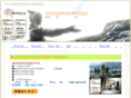 top-denki.com