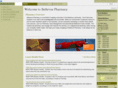 bellevuepharmacyonline.com