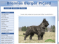 berger-picard-brennus.com