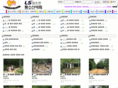 lssan.net